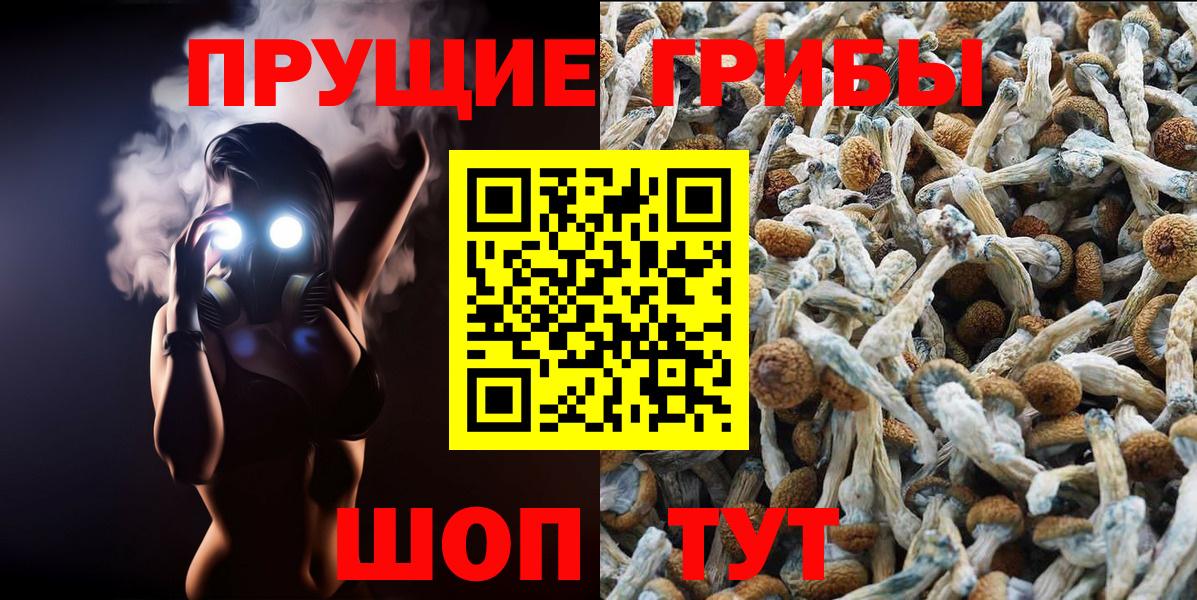 Галлюциногенные грибы ЛСД  Вход с VPN  Соль-Илецк 