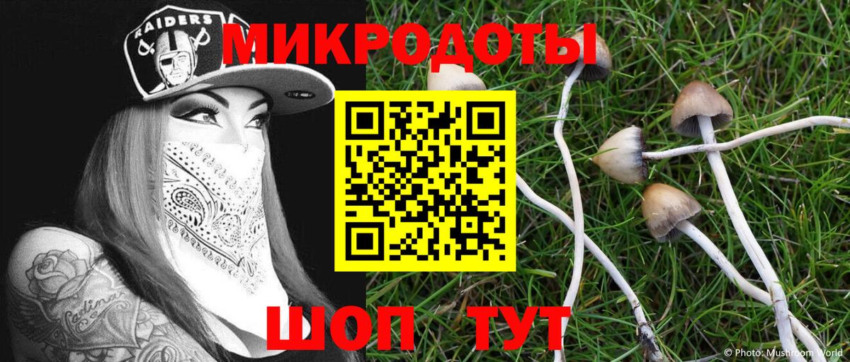 Галлюциногенные грибы Psilocybine cubensis Соль-Илецк